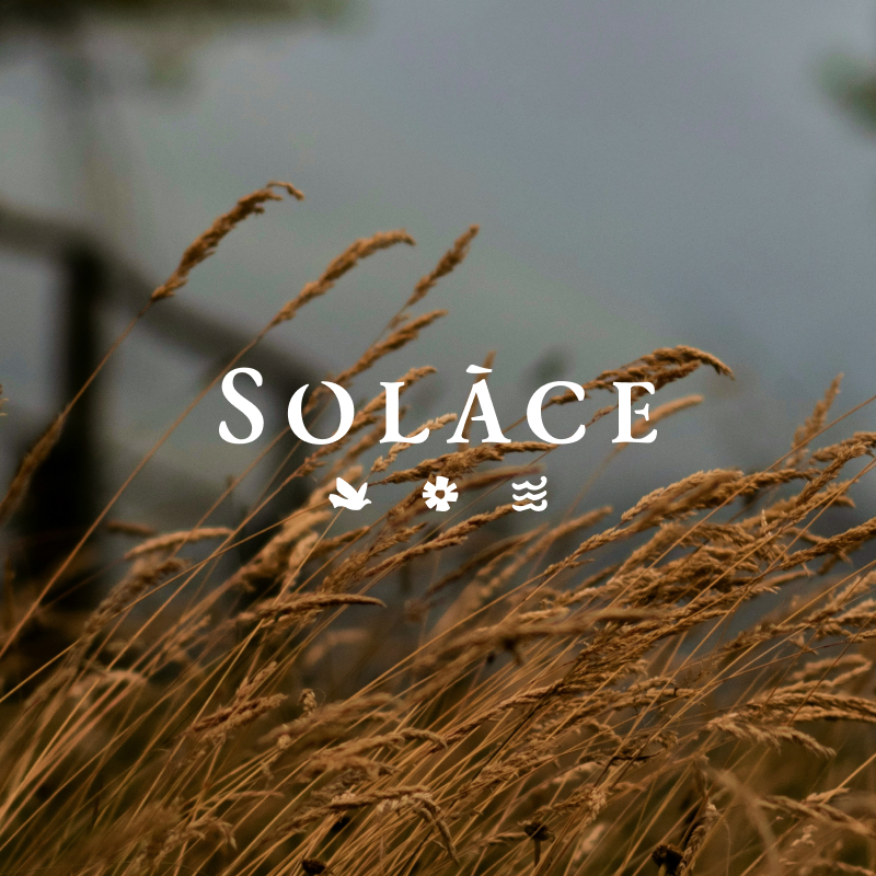 자연을 닮은 쏠라체, 왜 편안하게 느껴질까요?